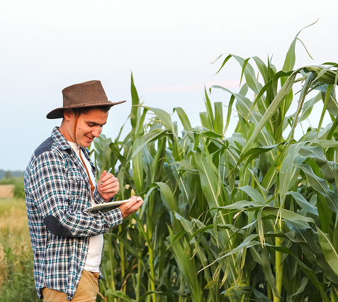 Homem trabalhando na plantação - Case Fiagril